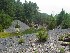 Strip Mine